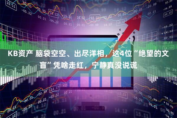 KB资产 脑袋空空、出尽洋相，这4位“绝望的文盲”凭啥走红，宁静真没说谎