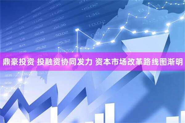 鼎豪投资 投融资协同发力 资本市场改革路线图渐明